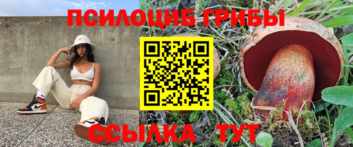 Галлюциногенные грибы GOLDEN TEACHER  Галлюциногенные грибы MAGIC MUSHROOMS  Алейск  Вход с VPN 